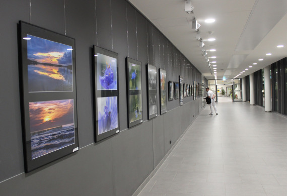 Die Ausstellung mit 58 Motiven ziert die nächsten sechs Monate die Wände vom Zentralverbinder von Haus 6.